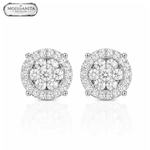 ARETES PARA HOMBRES | Lion Luxury