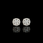 ARETES PARA HOMBRES | Lion Luxury