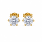 ARETES PARA HOMBRES | Lion Luxury