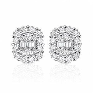 ARETES PARA HOMBRES | Lion Luxury