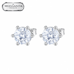 ARETES PARA HOMBRES | Lion Luxury