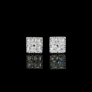 ARETES PARA HOMBRES | Lion Luxury