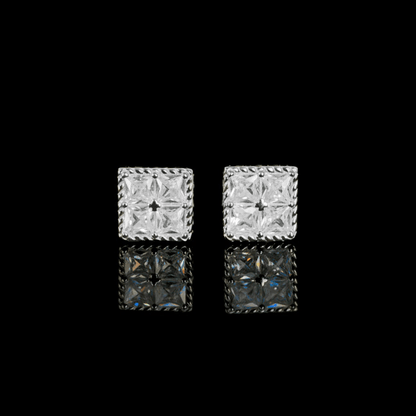 ARETES PARA HOMBRES | Lion Luxury