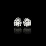 ARETES PARA HOMBRES | Lion Luxury