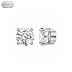ARETES PARA HOMBRES | Lion Luxury
