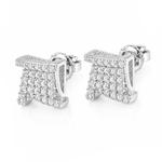 ARETES PARA HOMBRES | Lion Luxury