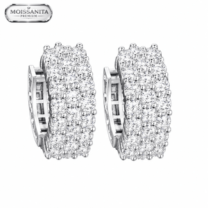 ARETES PARA HOMBRES | Lion Luxury