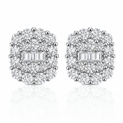 ARETES PARA HOMBRES | Lion Luxury