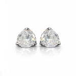 ARETES PARA HOMBRES | Lion Luxury