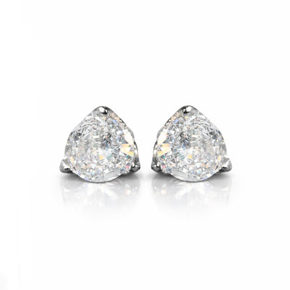 ARETES PARA HOMBRES | Lion Luxury