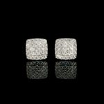 ARETES PARA HOMBRES | Lion Luxury