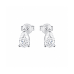 ARETES PARA HOMBRES | Lion Luxury