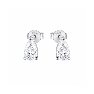 ARETES PARA HOMBRES | Lion Luxury