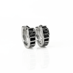 ARETES PARA HOMBRES | Lion Luxury