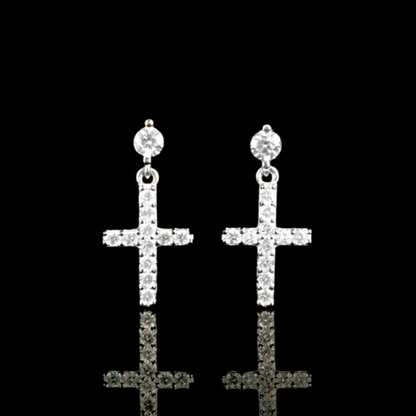 ARETES PARA HOMBRES | Lion Luxury