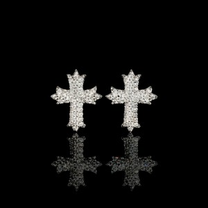 ARETES PARA HOMBRES | Lion Luxury