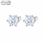 ARETES PARA HOMBRES | Lion Luxury