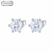 Arete Diamond 5mm – Plata 925 con Moissanita | Lion Luxury