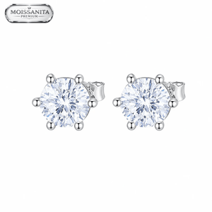 ARETES PARA HOMBRES | Lion Luxury
