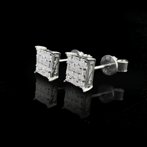 ARETES PARA HOMBRES | Lion Luxury