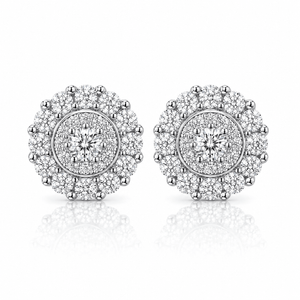 ARETES PARA HOMBRES | Lion Luxury