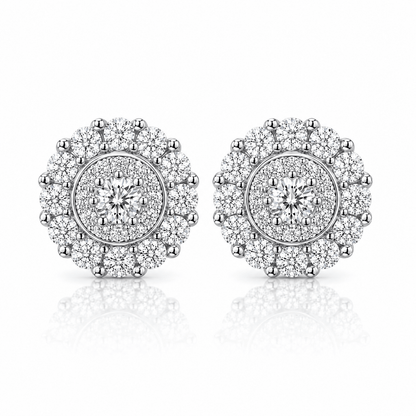 ARETES PARA HOMBRES | Lion Luxury