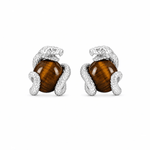 ARETES PARA HOMBRES | Lion Luxury
