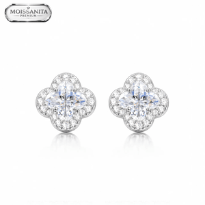 ARETES PARA HOMBRES | Lion Luxury