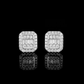 ARETES PARA HOMBRES | Lion Luxury