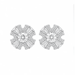 ARETES PARA HOMBRES | Lion Luxury