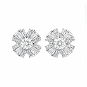 ARETES PARA HOMBRES | Lion Luxury