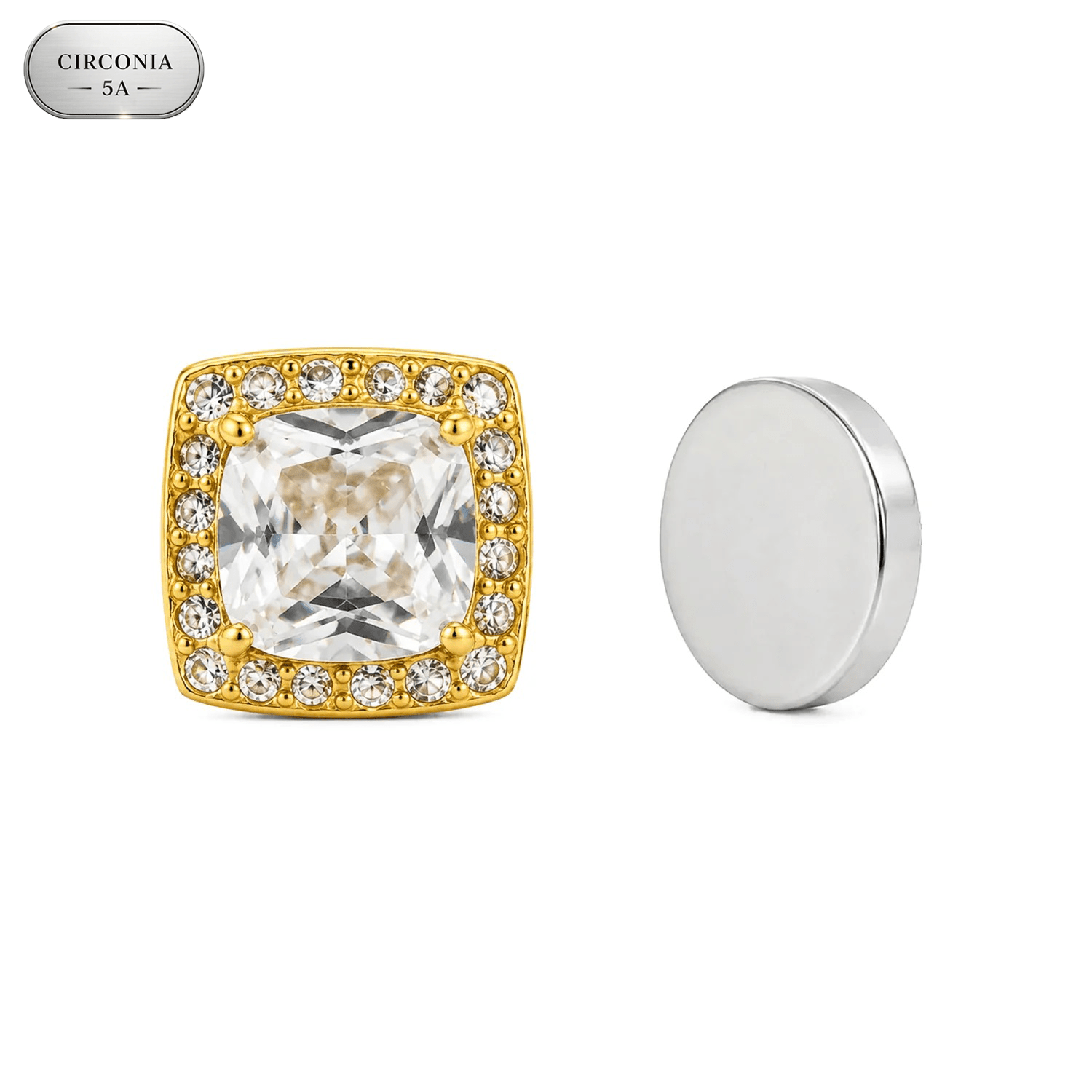 ARETES PARA HOMBRES | Lion Luxury