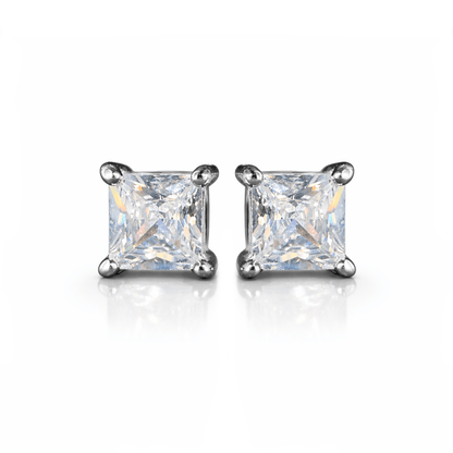 ARETES PARA HOMBRES | Lion Luxury