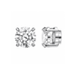 ARETES PARA HOMBRES | Lion Luxury