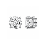 ARETES PARA HOMBRES | Lion Luxury