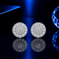 ARETES PARA HOMBRES | Lion Luxury