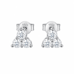 ARETES PARA HOMBRES | Lion Luxury