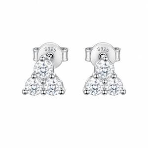 ARETES PARA HOMBRES | Lion Luxury