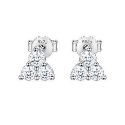 ARETES PARA HOMBRES | Lion Luxury