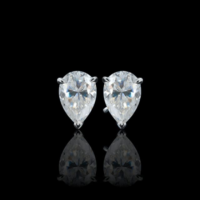 ARETES PARA HOMBRES | Lion Luxury