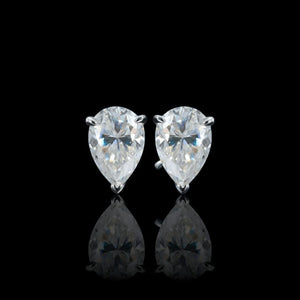 ARETES PARA HOMBRES | Lion Luxury