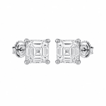 ARETES PARA HOMBRES | Lion Luxury