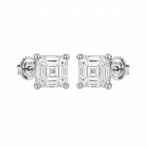 ARETES PARA HOMBRES | Lion Luxury