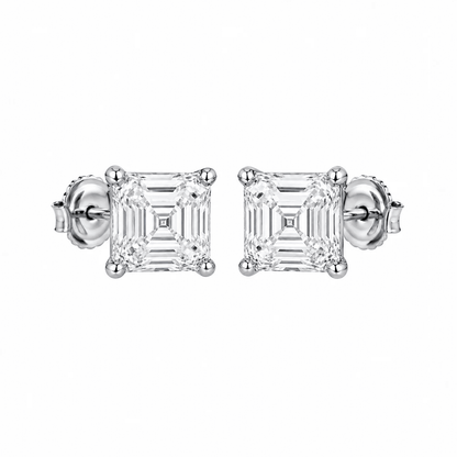 ARETES PARA HOMBRES | Lion Luxury