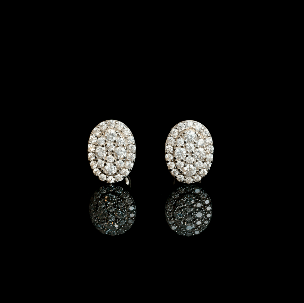 ARETES PARA HOMBRES | Lion Luxury