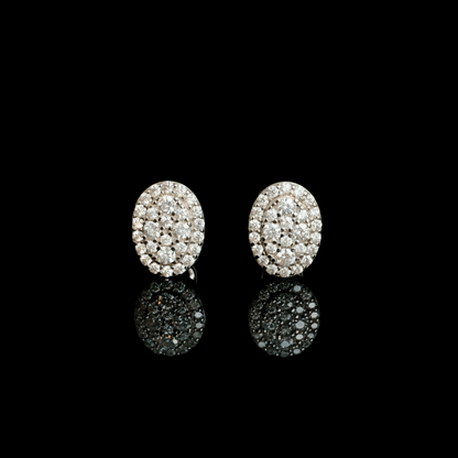 ARETES PARA HOMBRES | Lion Luxury