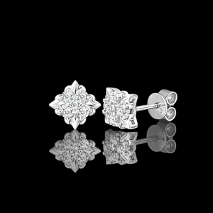 ARETES PARA HOMBRES | Lion Luxury