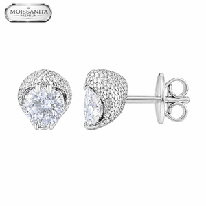 ARETES PARA HOMBRES | Lion Luxury