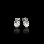 ARETES PARA HOMBRES | Lion Luxury