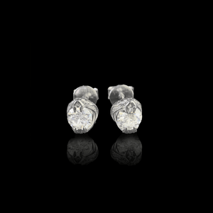ARETES PARA HOMBRES | Lion Luxury